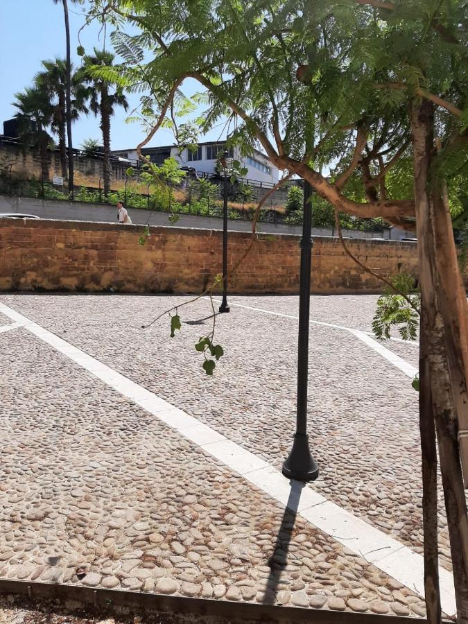 A Due Passi Dalla Cattedrale Διαμέρισμα Παλέρμο Εξωτερικό φωτογραφία